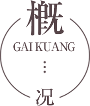 概况